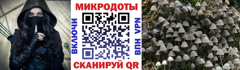 гидра ссылки  Сызрань  Псилоцибиновые грибы Psilocybe 