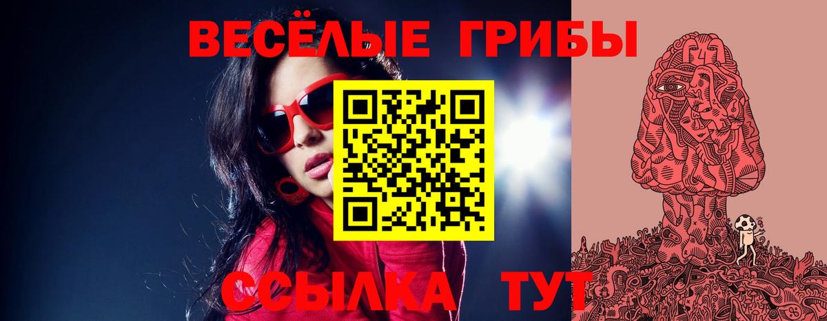 Галлюциногенные грибы мицелий  Вход с VPN  Сызрань 