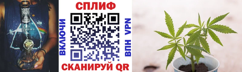 продажа наркотиков  Сызрань  МЕГА сайт  Бошки марихуана MAZAR 